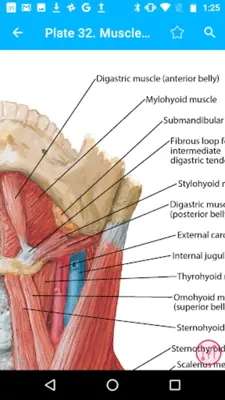 Anatomy Atlas, USMLE, Clinical android App screenshot 11