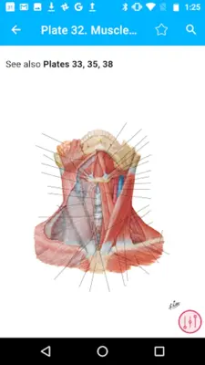 Anatomy Atlas, USMLE, Clinical android App screenshot 12