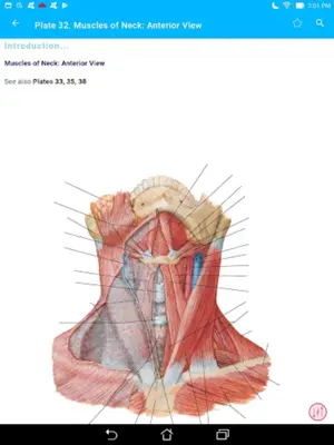 Anatomy Atlas, USMLE, Clinical android App screenshot 5